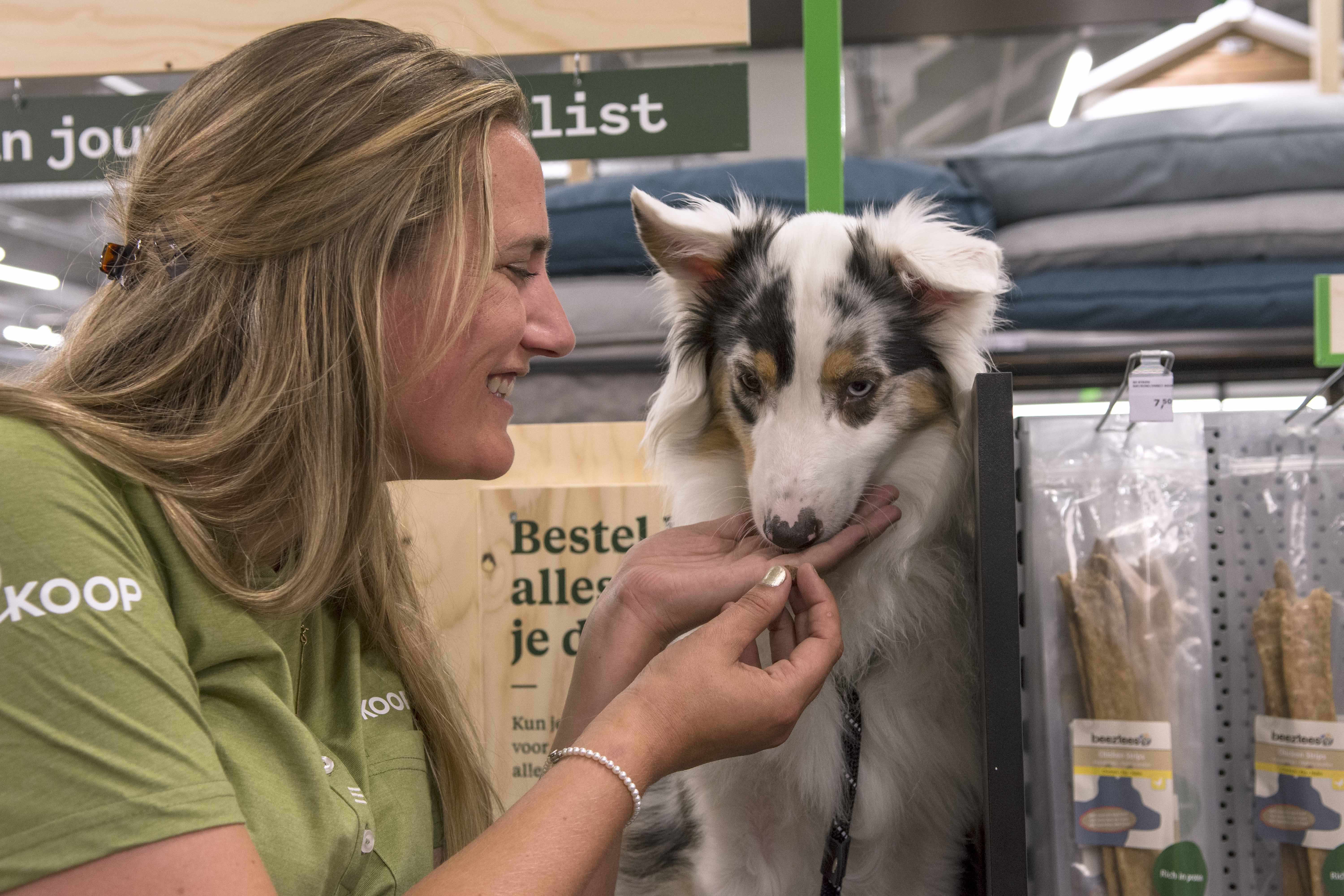 Advies in de winkel - hond Advies in de winkel - hond